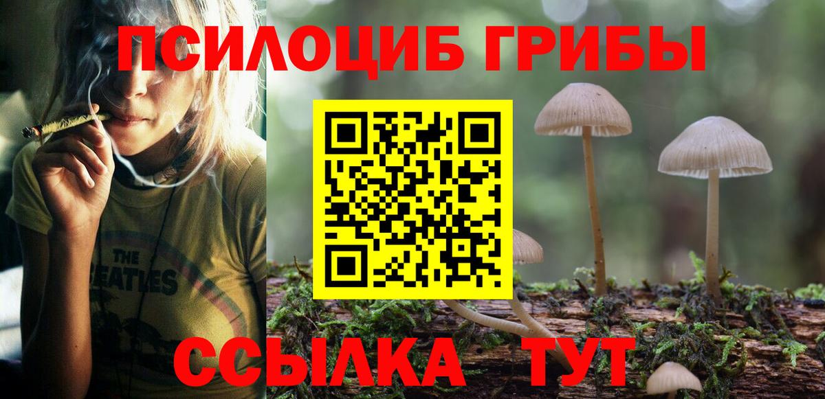 Галлюциногенные грибы Psilocybine cubensis  Галлюциногенные грибы GOLDEN TEACHER  Вход с VPN  Звенигород 