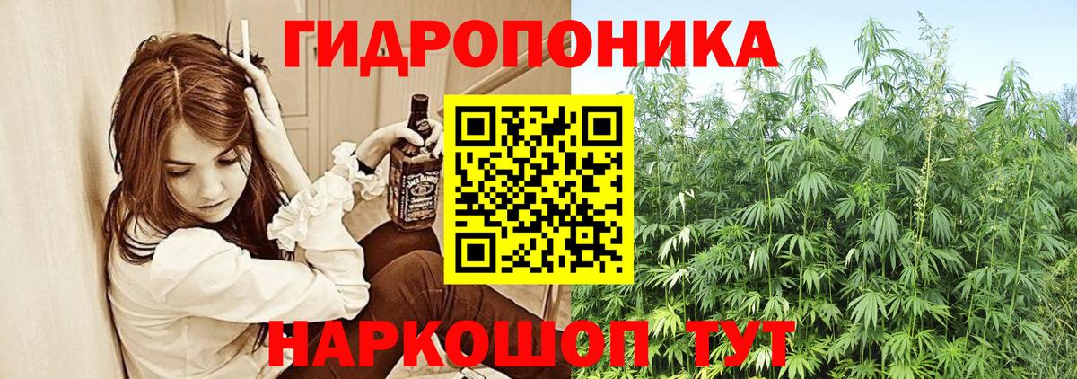 Канабис ГИДРОПОН  Бошки Шишки VHQ  Канабис Bruce Banner  Вход с VPN  Звенигород 